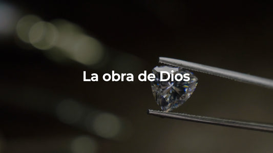 La Obra De Dios