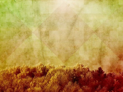 Forest Of Diamonds