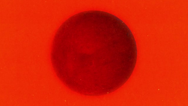 Silhouettes 19