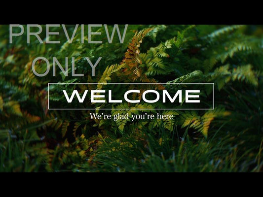 Springs Embrace Welcome Still