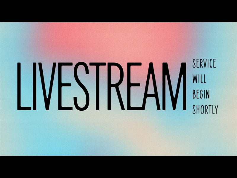 Paint The Sky Livestream