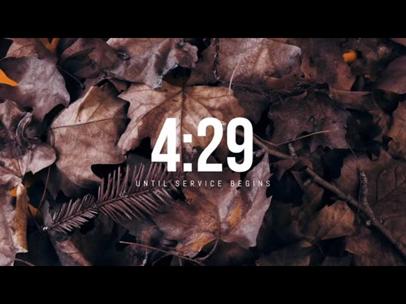 Autumn Leaves Countdown