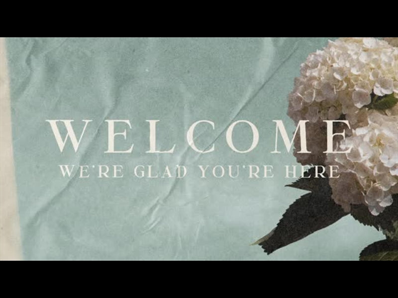 Hydrangea Welcome