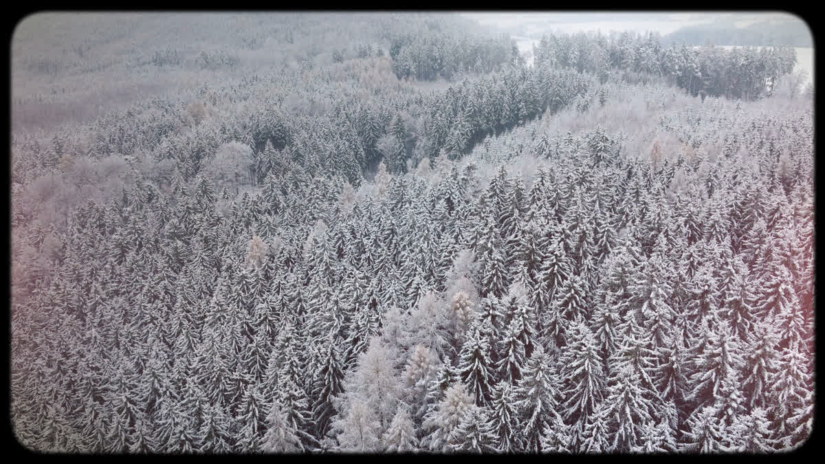Retro Winter 13