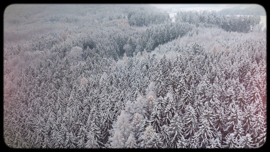 Retro Winter 13