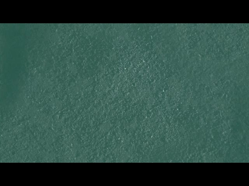 Lent Arches Ash Wednesday 02 Loop