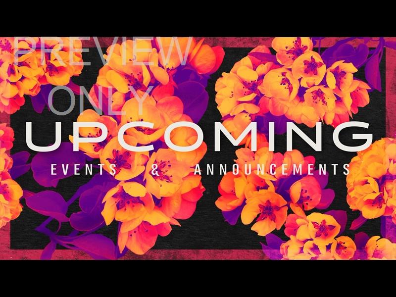 Bold Blooms Upcoming Still