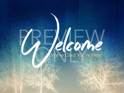 Trees Of Grace Welcome Still