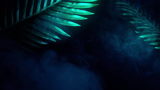 Holy Week Reflections 13 Still