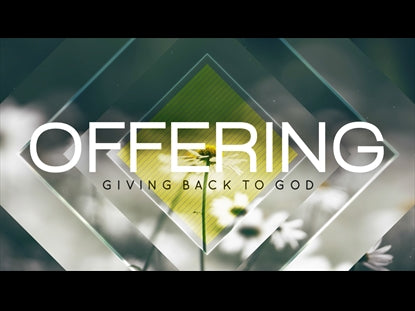 Newspring Offering