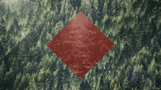 Christmas Forest 02
