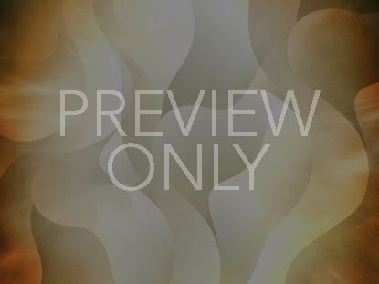 Pentecost 4