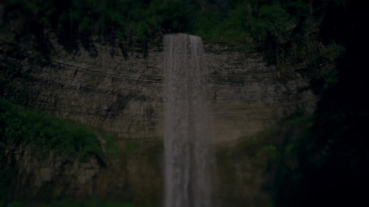 Nature's Force 11 Darken