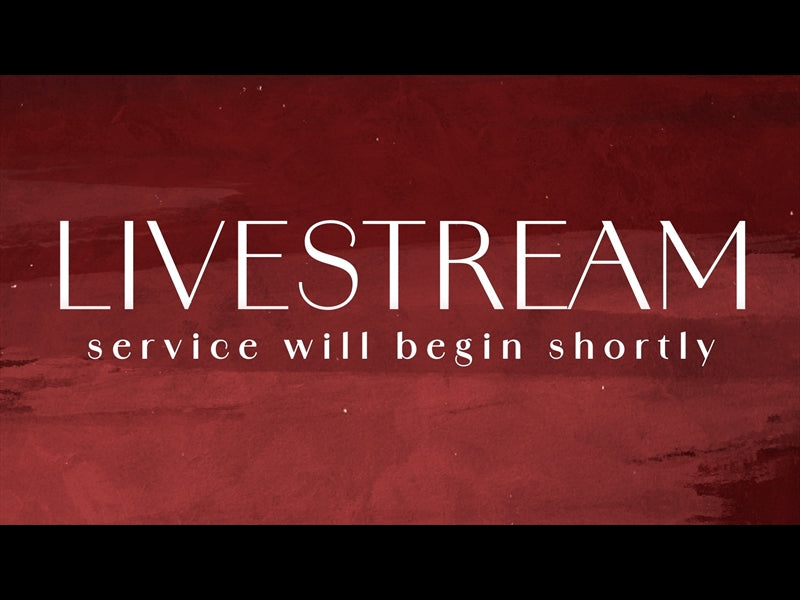 Tannenbaum Livestream