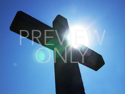 Star Of Calvary