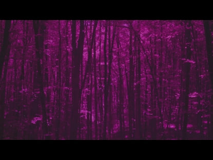 Autumn Leaves Purple Alt