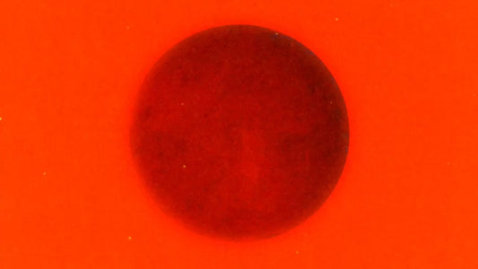 Silhouettes 19
