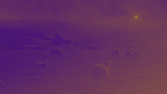 Amber Christmas Sheep