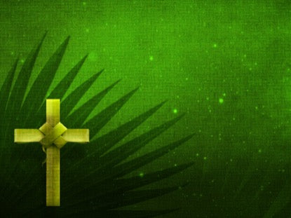 Holy Palms Motion 2