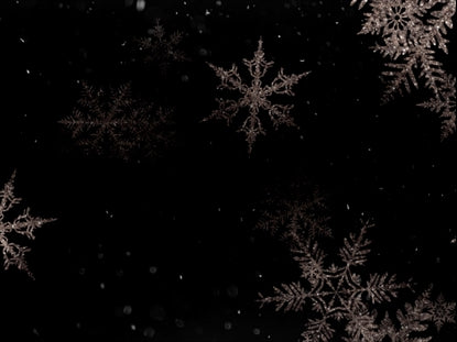 Christmas Snowflakes 13