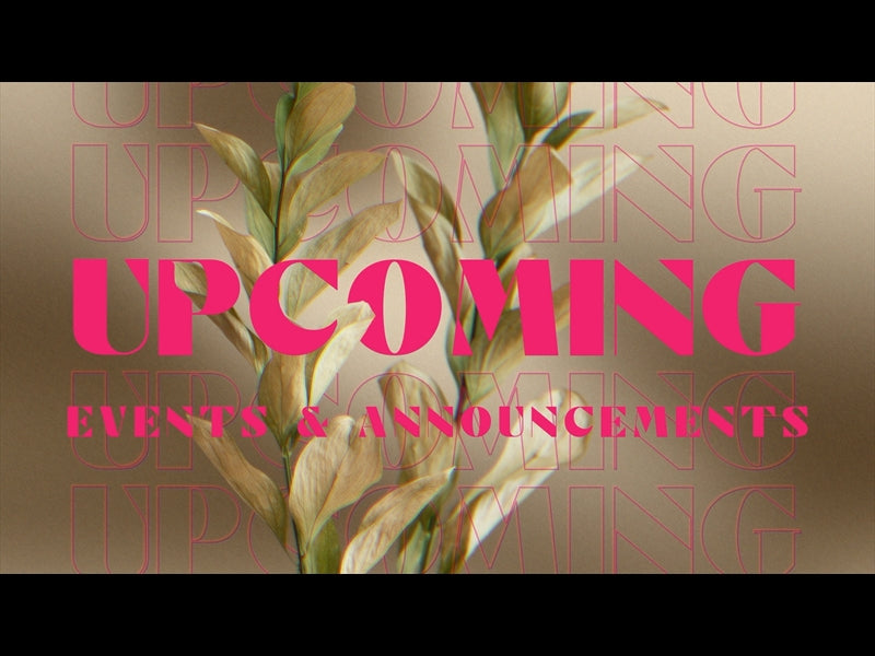 Natro Upcoming 02 | Timber & Pearl | WorshipHouse Media