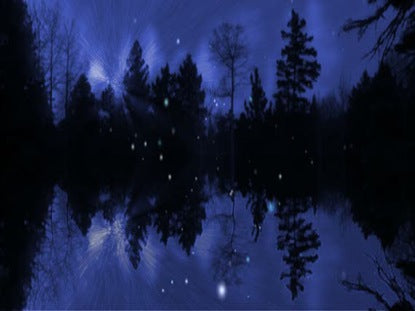 Winter Night