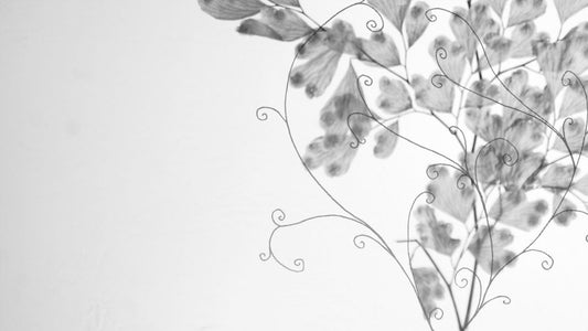 Plant Vines