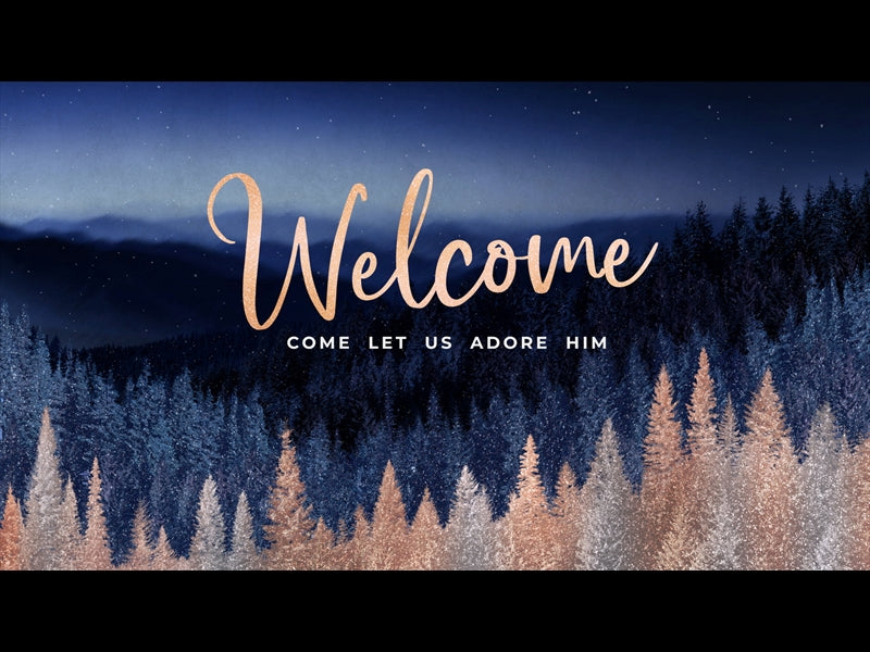 Sparkling Trees Christmas Welcome