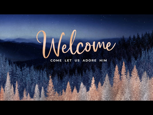 Sparkling Trees Christmas Welcome