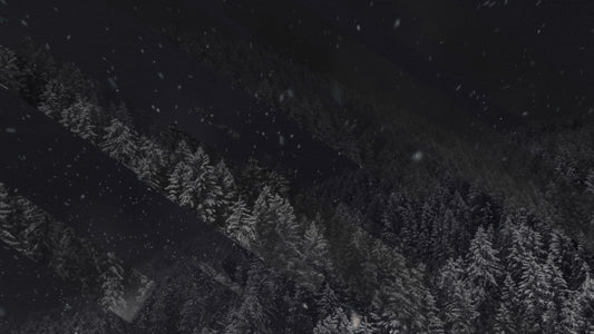 Winter Journey 18