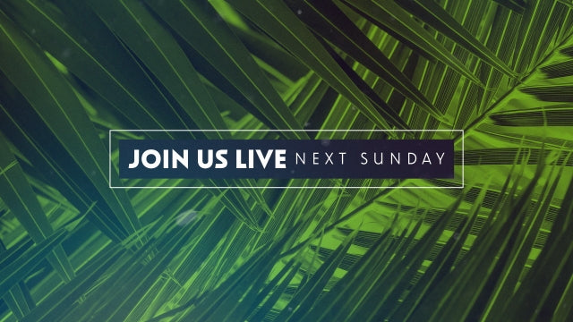 Palm Sunday Streaming Join Us