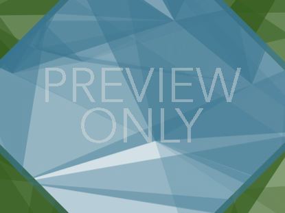 Flat Polygons Blank 5