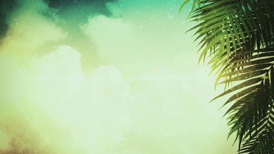 Palm Sunday Motion 04