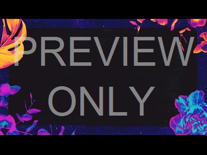 Just The Beginning Still 7