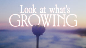 Look At What's Growing