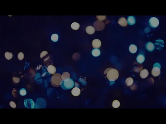 Christmas Lights: 12