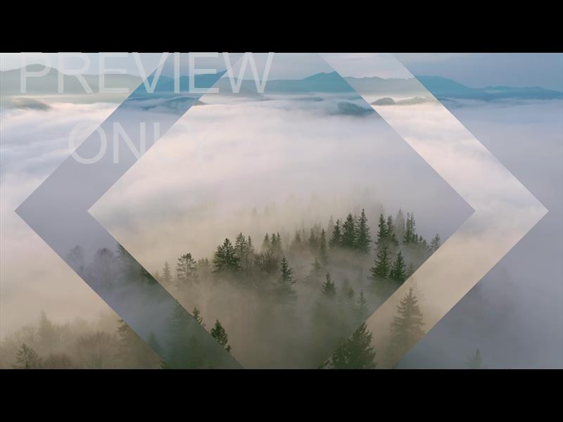 Misty Pines Distant Peaks Still