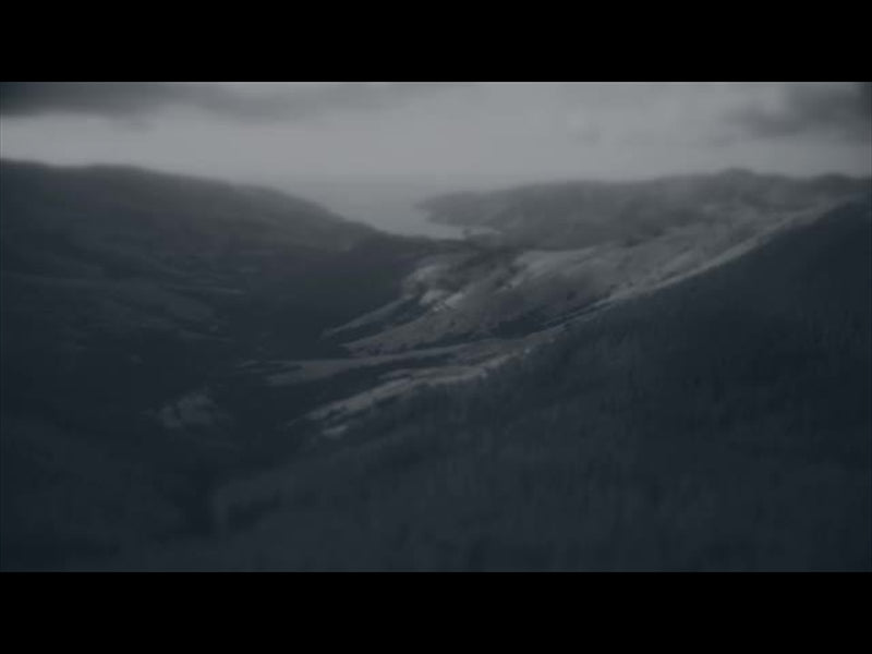 Aerial Bliss 3 Alt