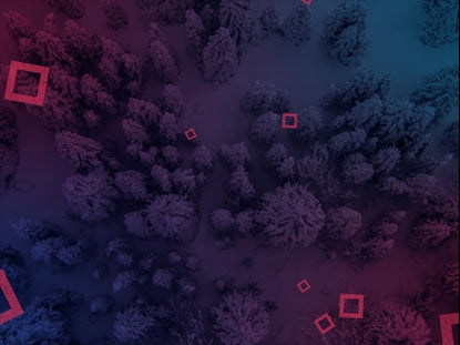 Pristine Snowy Forest Aerial Squares