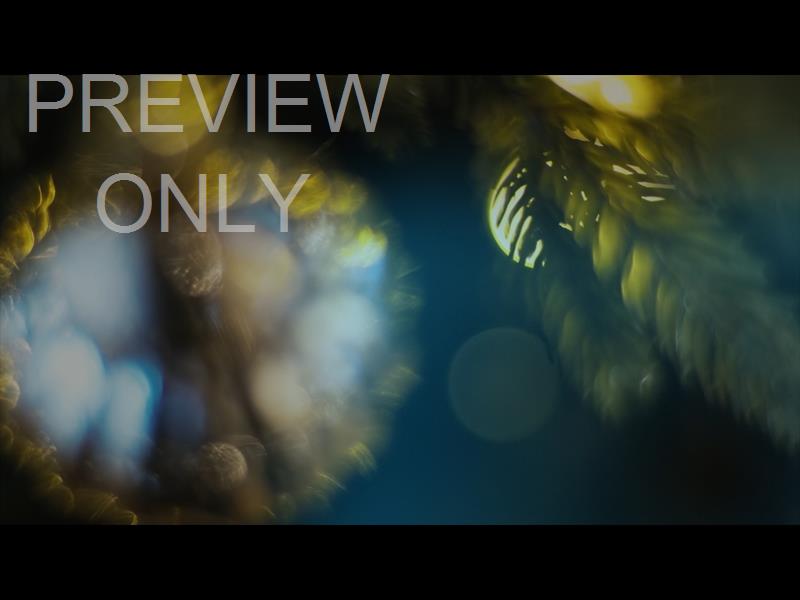 Bright And Beautiful Still 03