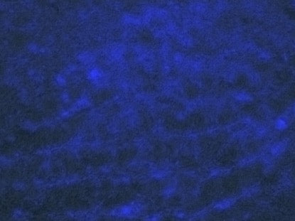 Cobalt Current 1