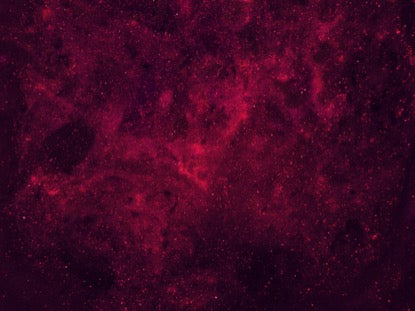 Pink Swirl
