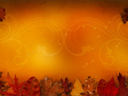 Fall Leaves And Vines