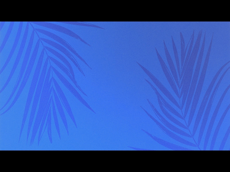 Risen Palms 7