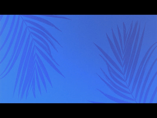 Risen Palms 7
