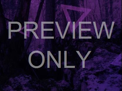 Purple Forest Big Triangles