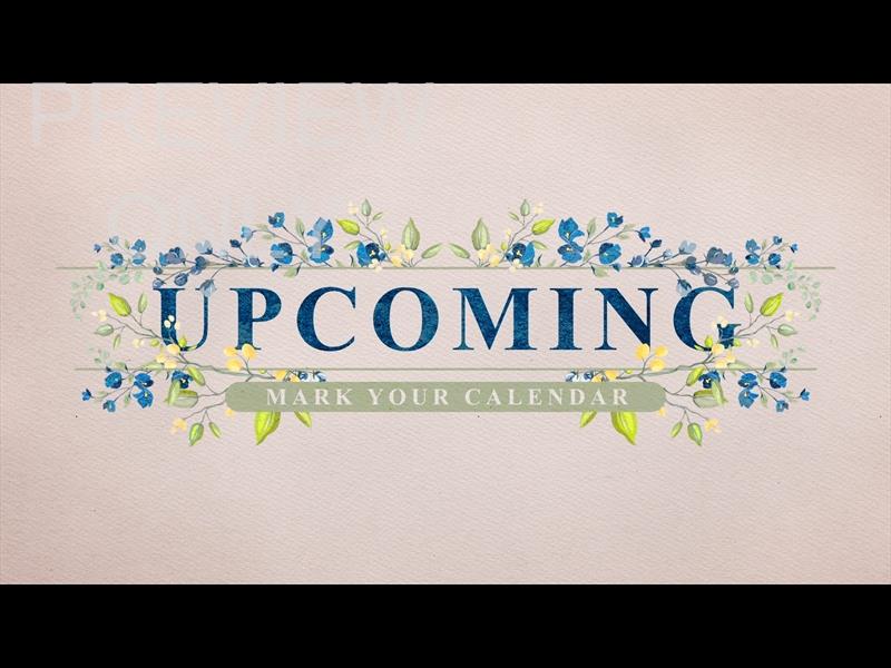 Petite Flower: Still Upcoming