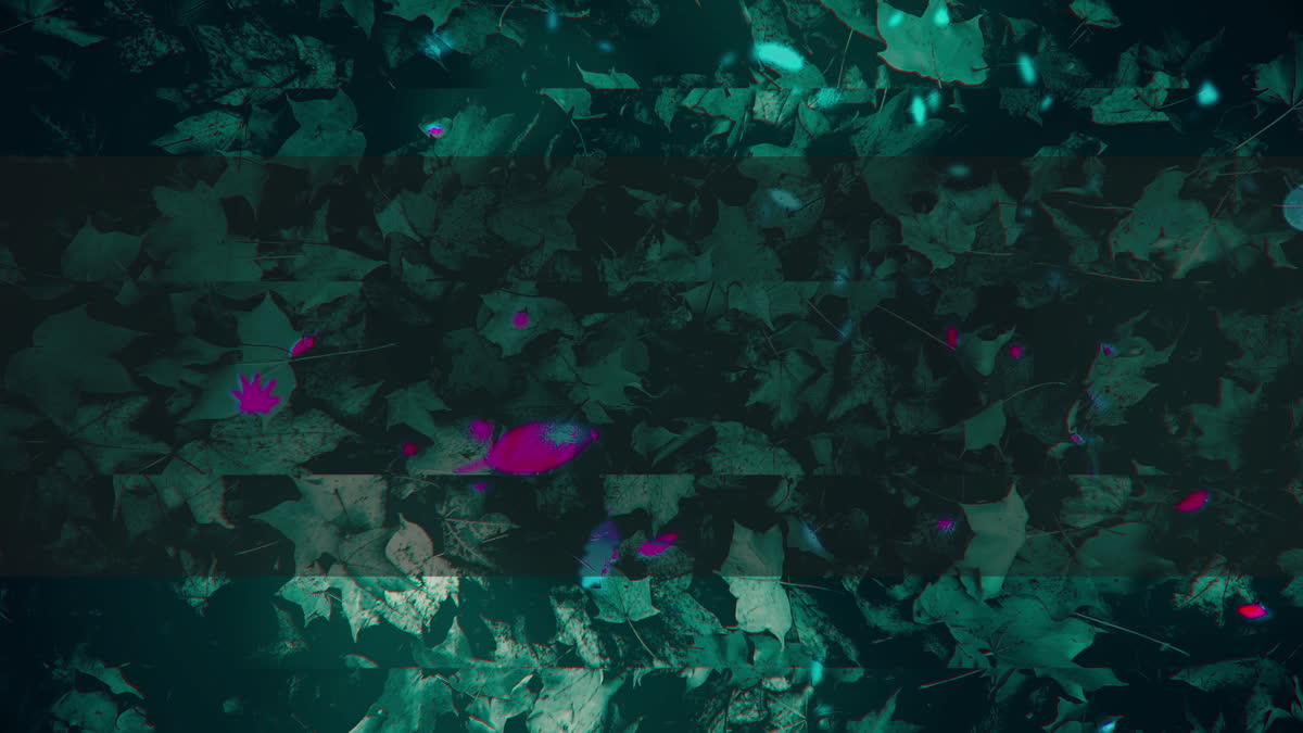 Autumn Memories 10 Alt