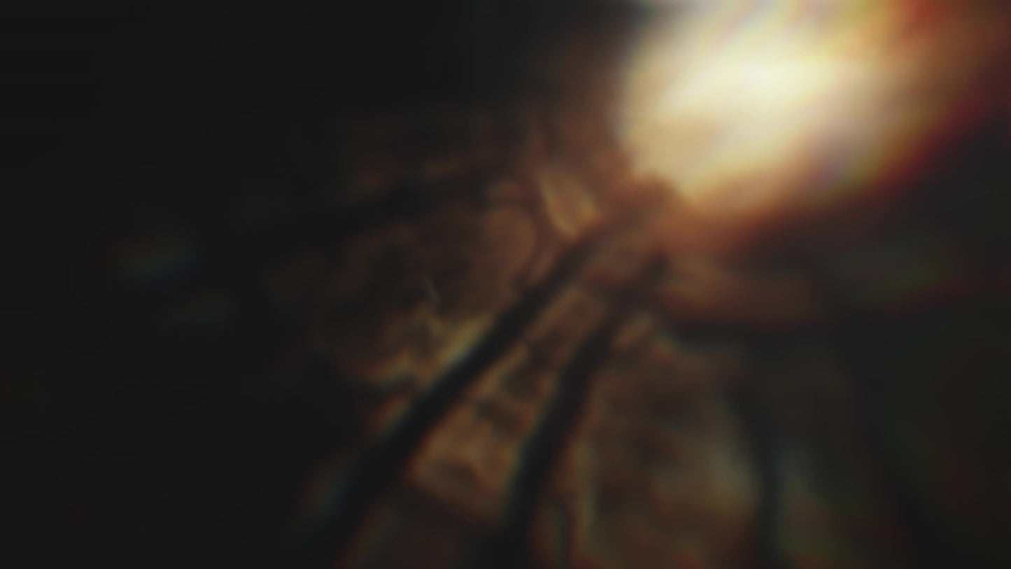 Soaring Glass Rays Alt Still