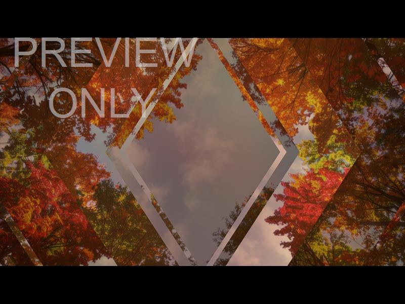 Fall Trees 1 Remix Still